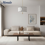 Lámpara colgante de tambor con marco metálico delgado Roven, iluminación clásica y transicional para áreas de estar